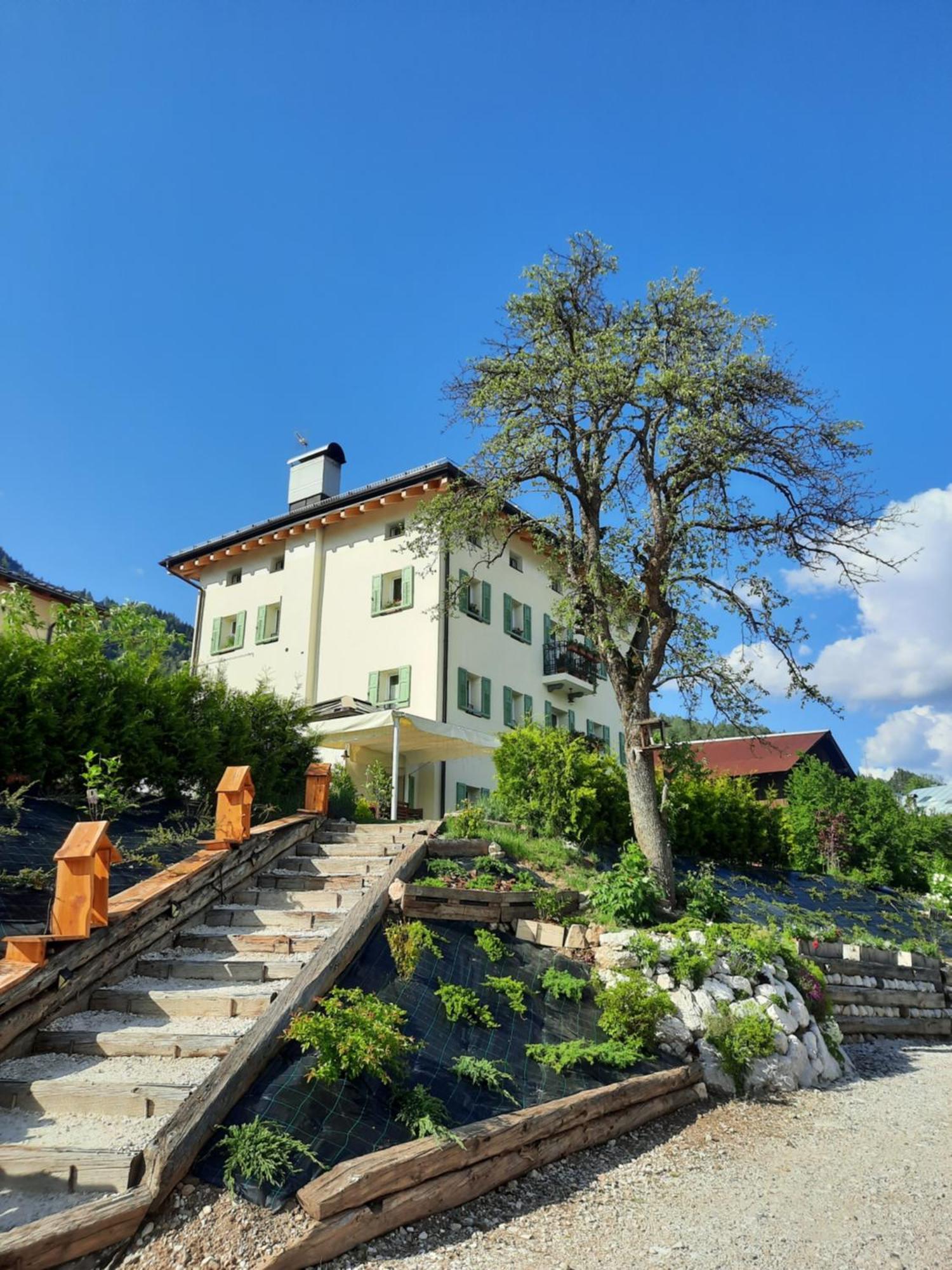 B&B Sognoincadore Домедже ди Кадоре Екстериор снимка