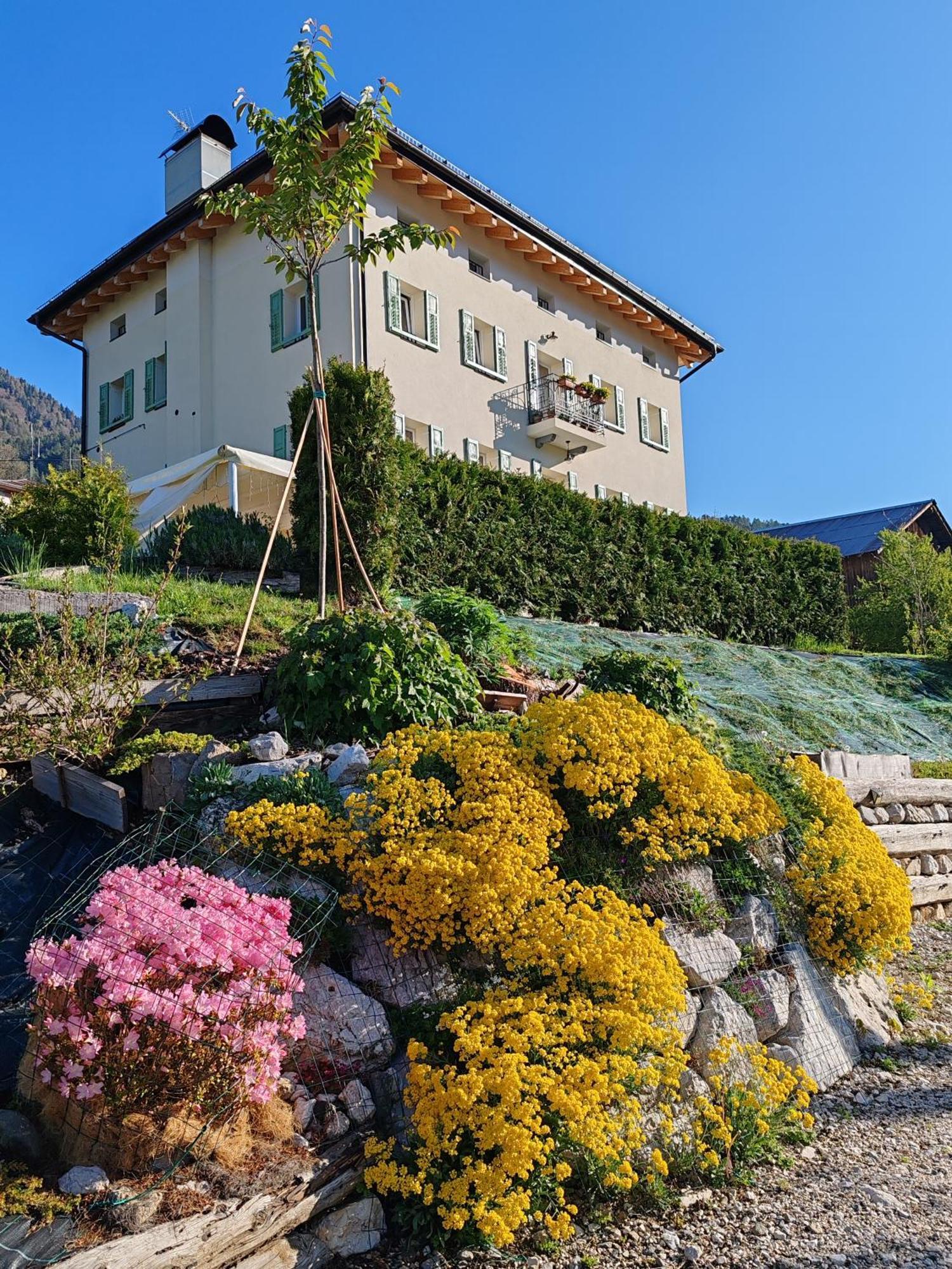 B&B Sognoincadore Домедже ди Кадоре Екстериор снимка